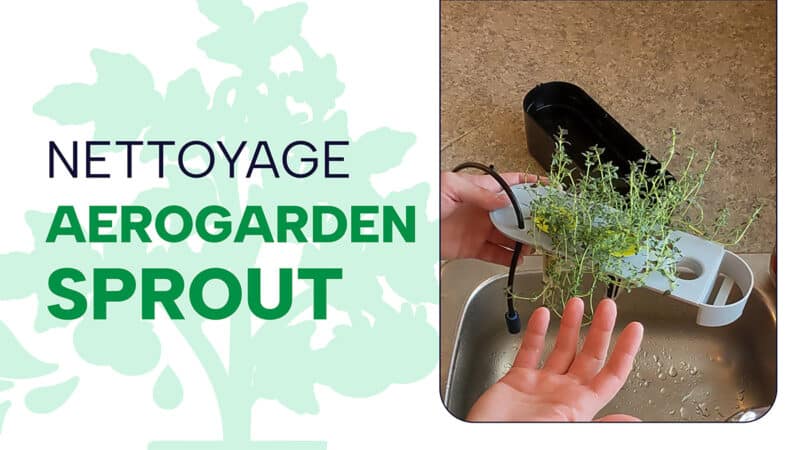Aerogarden Sprout : tutoriel pour le nettoyage et l’entretien régulier