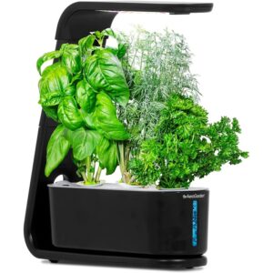 Jardin Aerogarden Sprout