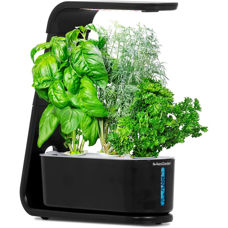 Jardin Aerogarden Sprout