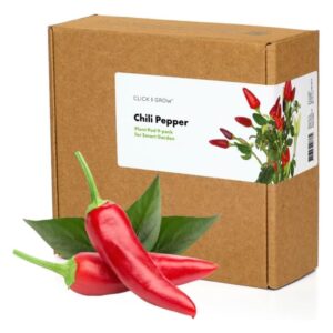 Semences de piment Red Hot