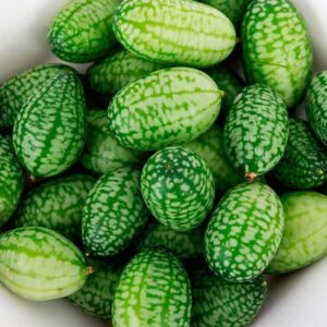 Semences de Cucamelon