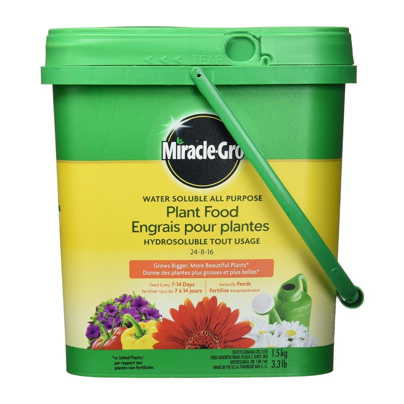 Engrais tout usage soluble dans l'eau par Miracle-Gro