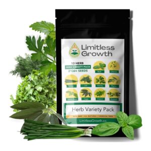 Semences d'herbes aromatiques
