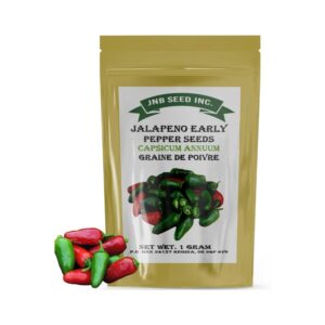 Semences de piments jalapeno