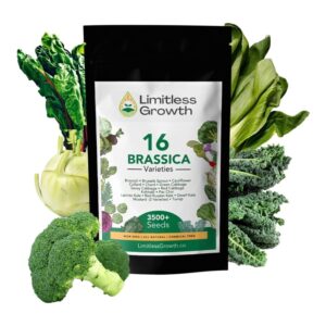 Semences de légumes