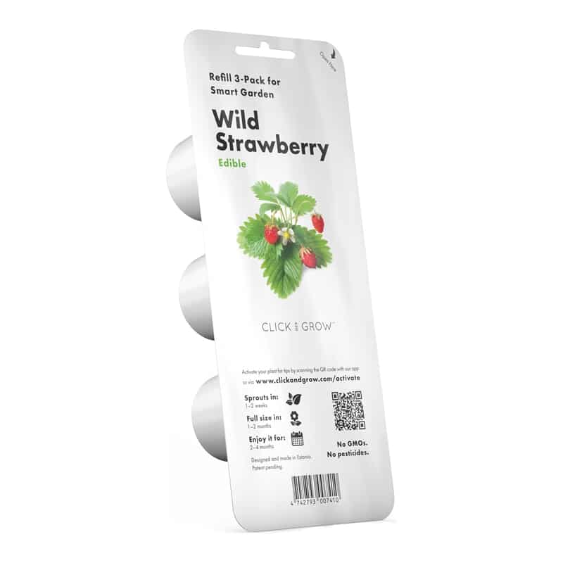 Fraises Click & Grow