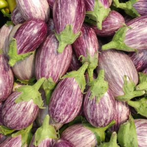 Semences d'aubergines Piccolo