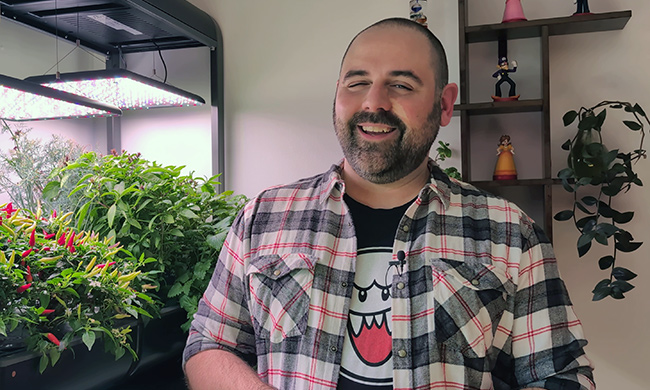 placeholder Mister Plantes