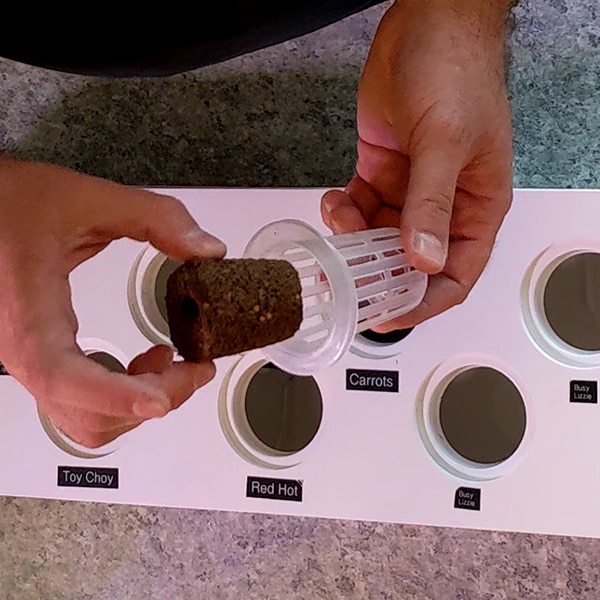Conversion en hydroponie du Click & Grow 9