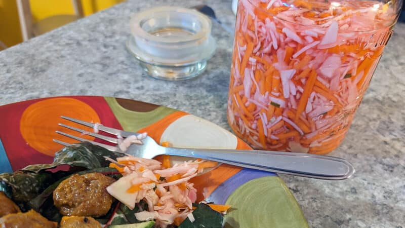 Recette de Pikliz haïtien revisité par Mister Plantes