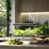 Hydroponie en appartement