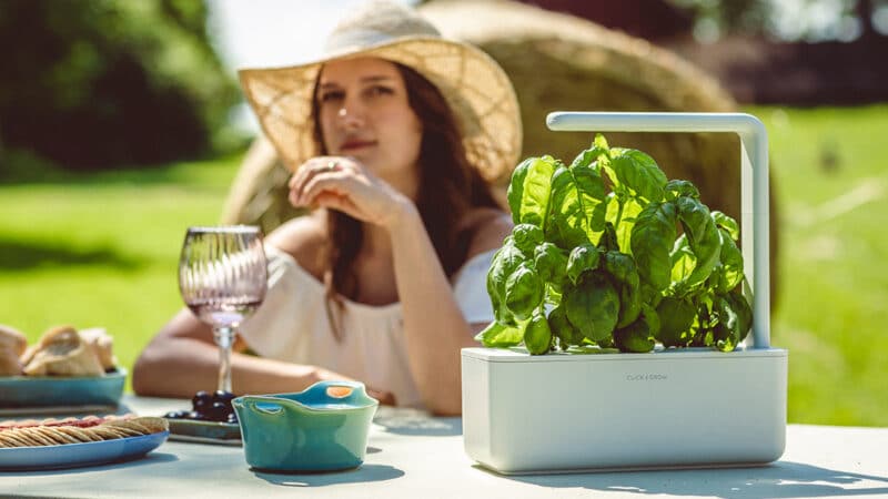 Célébrez l’été avec 20% de rabais sur vos produits Click & Grow favoris !