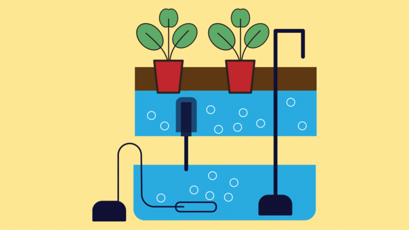 Ebb and Flow (Flux et Reflux) : guide pour le jardinage hydroponique