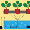 Aéroponie (Aeroponics)