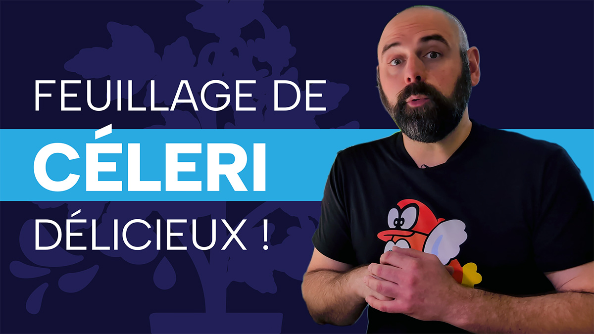 Céleri hydroponique : un projet Click & Grow réussi !